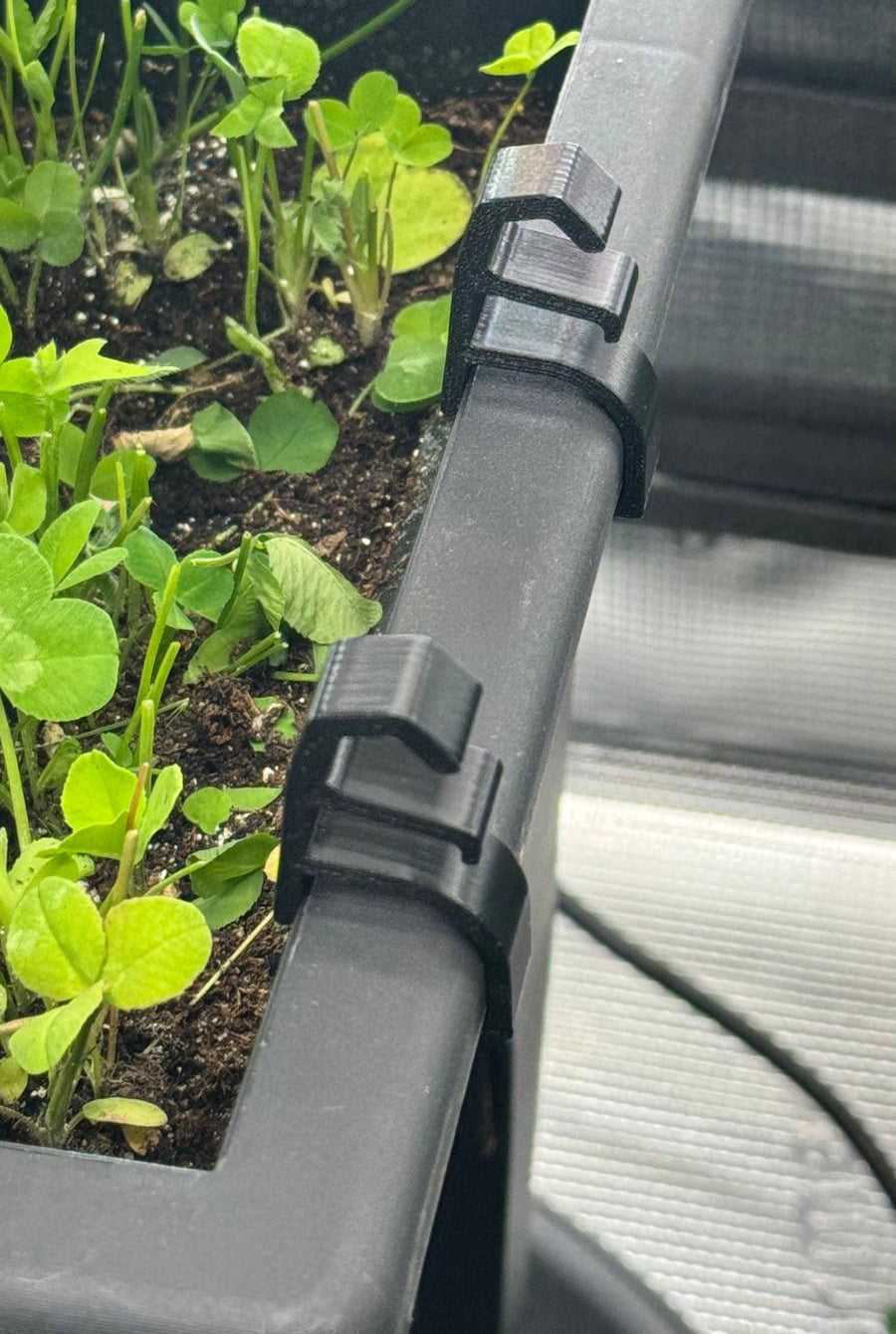 Zwei LST Clips am Topfrand eines Re-Plant Topfes